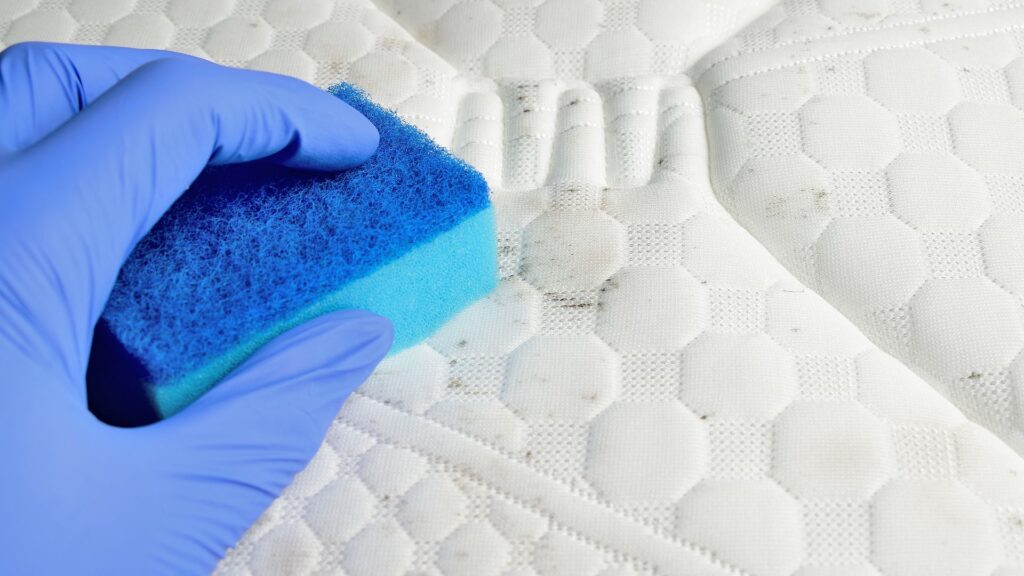 Mould Accumulation Danger
