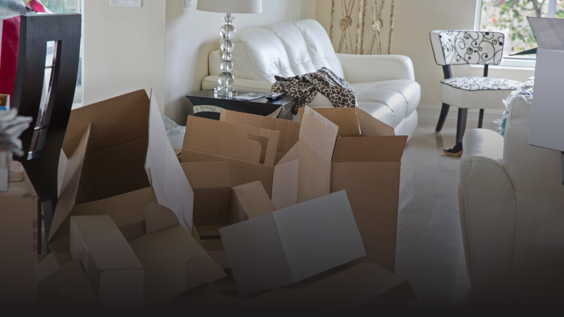 Professional Home Cleaning Services