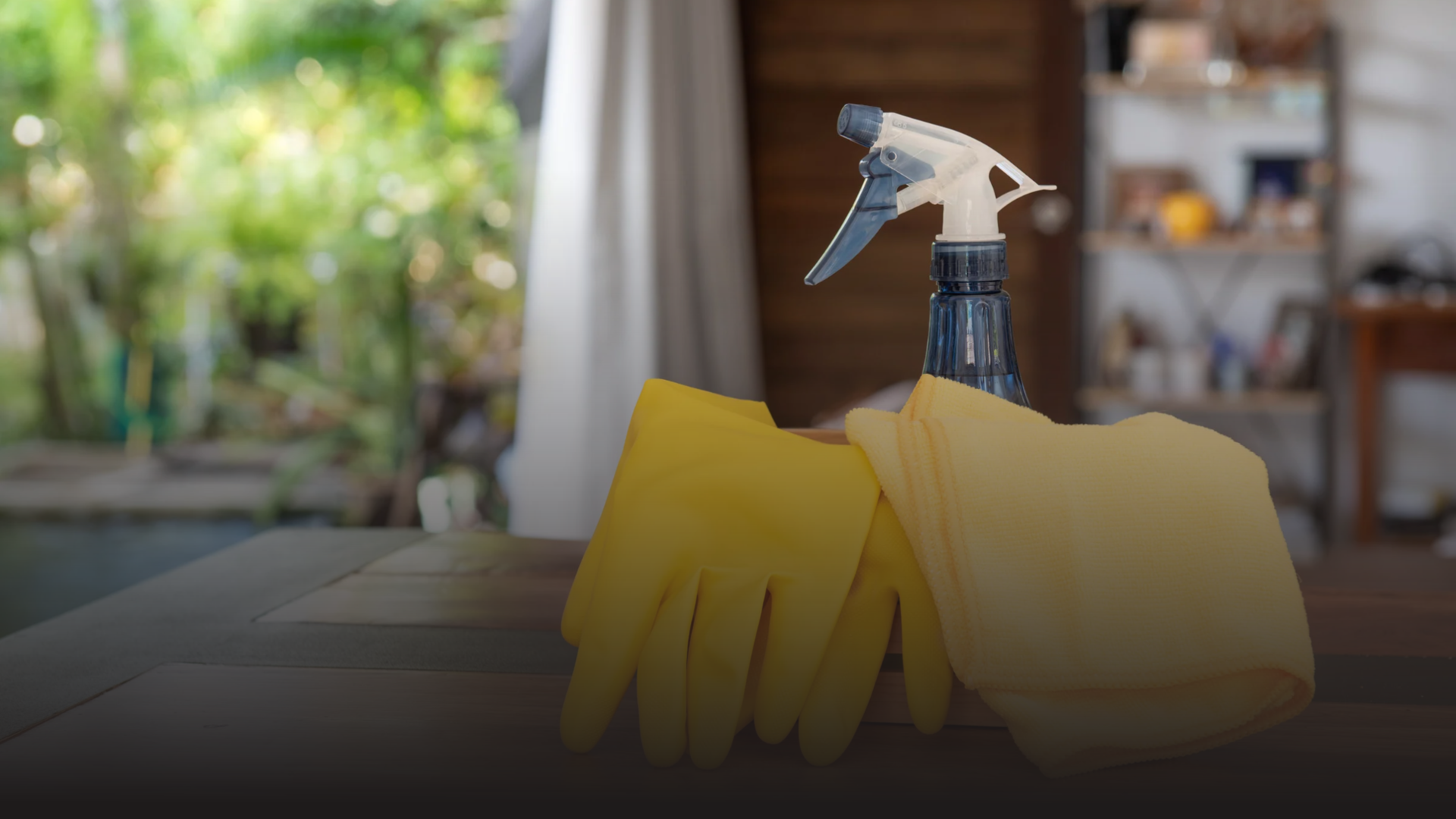 Professional Home Cleaning Services