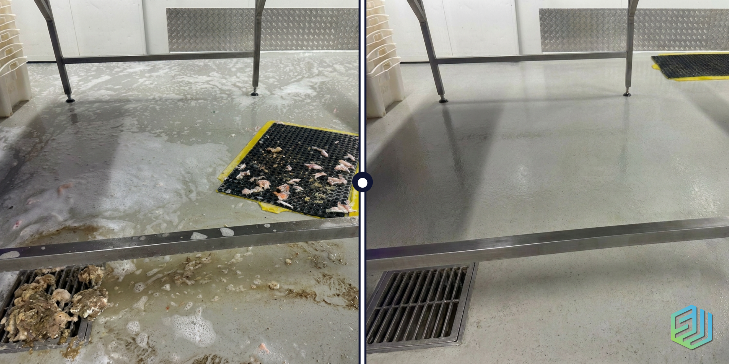 seafood processing cleaning