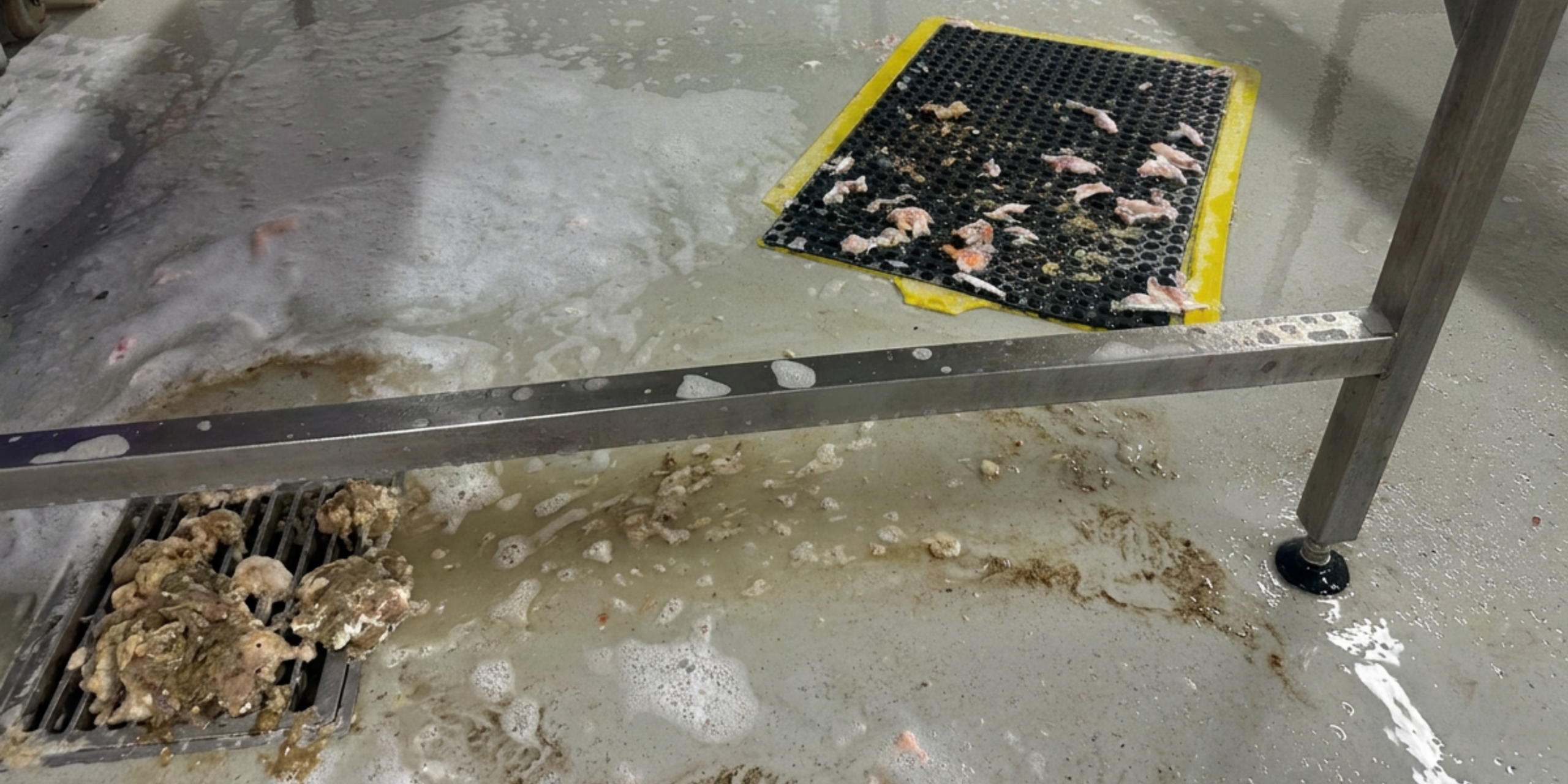 seafood processing cleaning